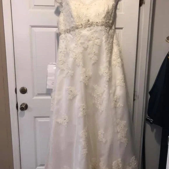 David's Bridal Elegant Lace Wedding Dress in White
